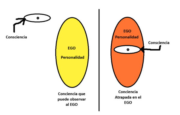 Screenshot 2025-08-01 at 8.46.35 a.m.