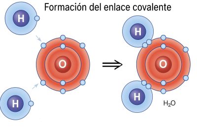 WhatsApp Image 2025-08-03 at 11.12.24